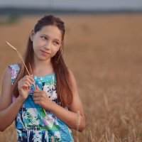 В пшеничном поле :: Любовь Гулина