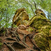 В Карпатах. :: Юрий Гординский