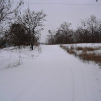 Шахты. Зимняя дорога в пойме реки Грушевки. :: Пётр Чернега