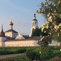 В пору летнего цветения, в вечерний закатный час возле Толгского монастыря :: Николай Белавин