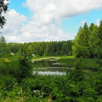 Моя Смоленщина :: Милешкин Владимир Алексеевич 