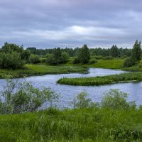 затейливые изгибы :: оксана 