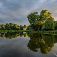 И тополь с ивой говорили :: Николай Гирш