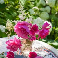 Розы в саду :: Ольга Бекетова