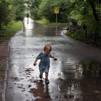 Летний дождь. :: Владимир Безбородов