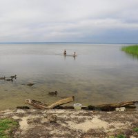 Национальный парк "Плещеево озеро" :: Галина Новинская