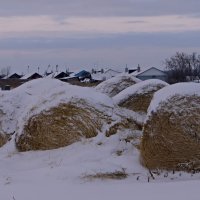 Сельская зима. :: сергей 