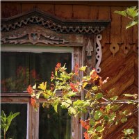 Домик окнами в сад... :: Александр Шимохин