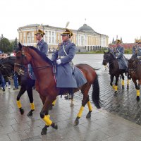 Конный караул Президентского полка :: MarinaKiseleva 