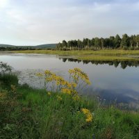 Заросшее озеро :: Ирина Хусточкина