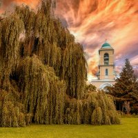 Свято-Даниловский монастырь :: Leo Alex Foto