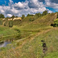 На реке Суерь. :: Александр Леонов