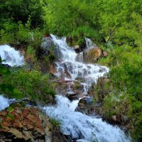 Многокаскадный лесной водопад :: Владимир Куликов