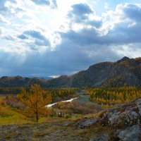 В долине горной реки. :: Валерий Медведев