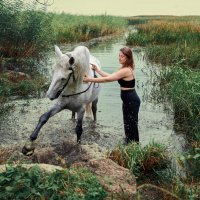 Купание белого коня 4 :: Алексей Корнеев