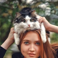 Девушка, кошка... :: Дмитрий Головин