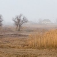 село, туман :: Александр 