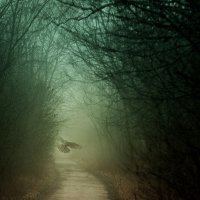 В туманном полумраке :: Александр Игнатьев