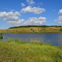 Шахты. Лес левобережья Грушевского водохранилища. :: Пётр Чернега