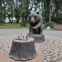 Медведь-шахматист :: Tarka 