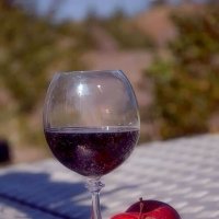 Вино и яблоки. :: Михаил Столяров