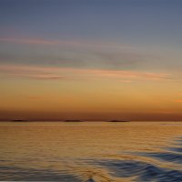 Белое море в красках заката. :: Марина Никулина