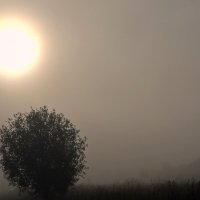 Утро туманное :: Aquarius - Сергей