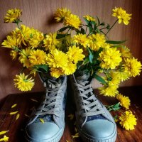 жёлтые цветы :: людмила дзюба 