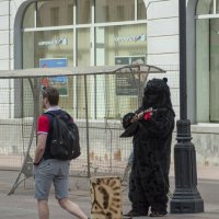 Россия, медведь, балалайка - всё как они там любят :: Александр Степовой 