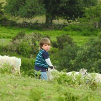 Мальчик среди овец :: Natalia Harries
