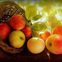 яблоки и лето :: TAMARA КАДАНОВА