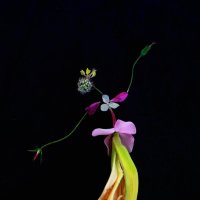 Балерина из цветов :: Екатерина Постонен