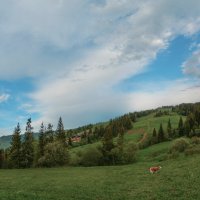 В Карпатах. :: Юрий Гординский