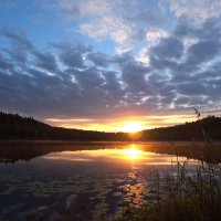Рассвет на лесном озере :: Денис Бочкарёв