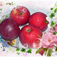 Про яблочки молодильные.. :: Андрей Заломленков
