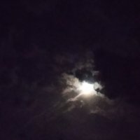 Луна в облаках :: Галина 