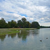 ... городское озеро в Аугсбурге.... :: Galina Dzubina