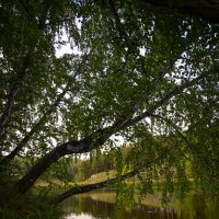 Над водой :: Андрей + Ирина Степановы