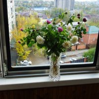 Осень на окне и за окном :: Татьяна Р 