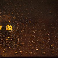 дождь в окнне :: Алексей Алексеев