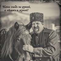 Гладь коня не рукой, а овсом и мукой! :: Дмитрий Головин