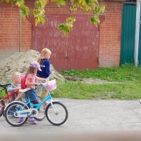 Шарик, Шарик! ... на сухарик! ;) :: Елена Хайдукова  ( Elena Fly )