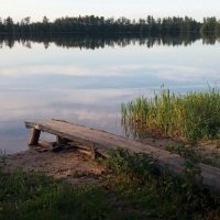 Мосточек на озере :: Galina Solovova