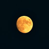 Ну, здравствуй, полновесная луна! :: Татьяна Помогалова