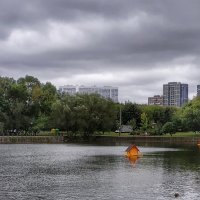 пасмурно, дождь... :: Валентина. .