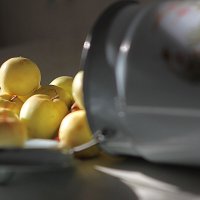Яблочное изобилие. :: Елена Тренкеншу