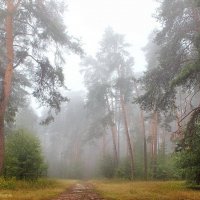 С дождевой росой прощался август... :: Лесо-Вед (Баранов)