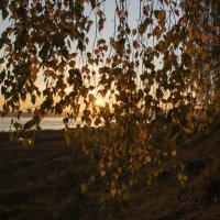 Осенний рассвет :: Сергей Шаврин