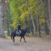Конные походы в Каркаралинских лесах... :: Андрей Хлопонин