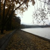 Осенний пейзаж :: Ольга Тюпаева 